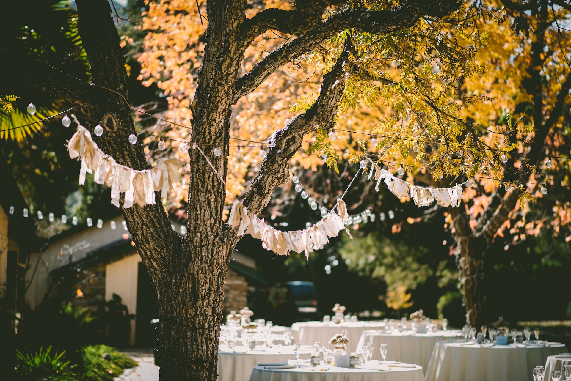 outdoor wedding reception