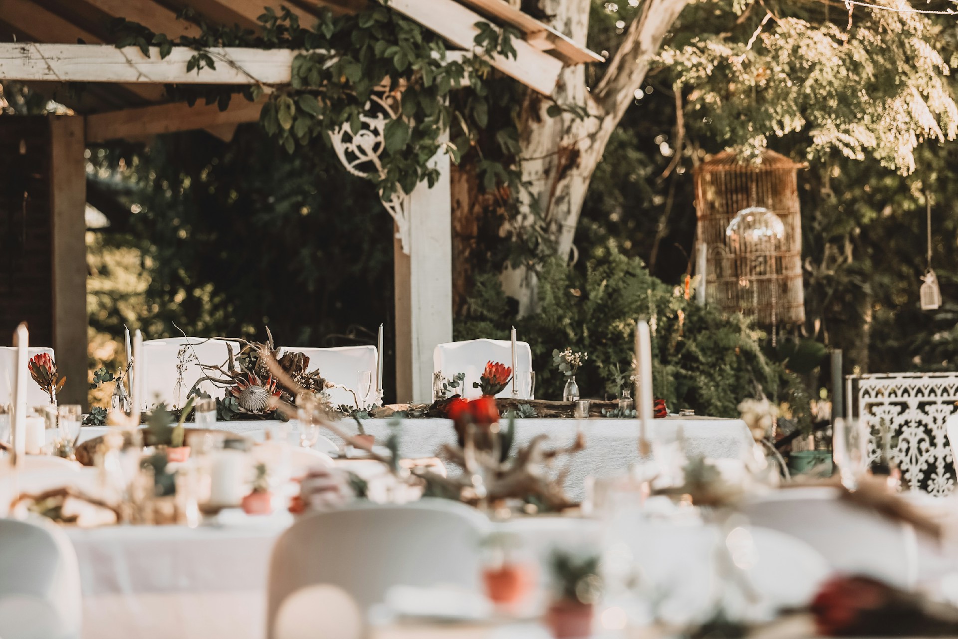 outdoor wedding