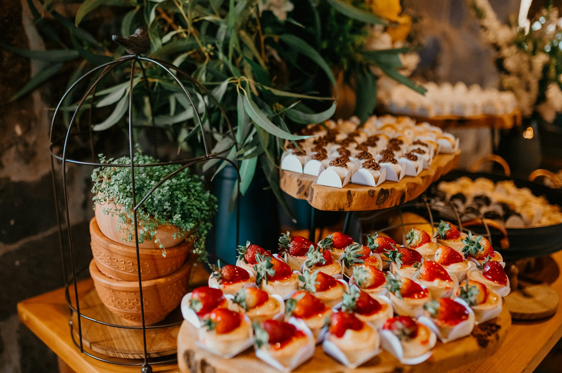 Food Presentations